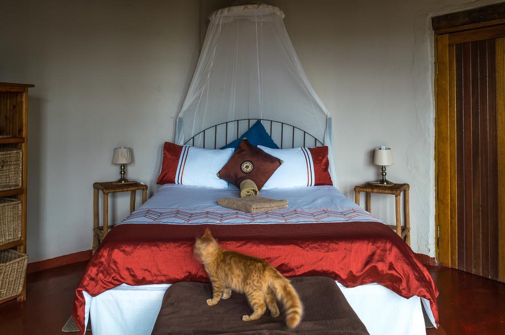 Delicious Monster Accommodation Port Saint Johnʼs Екстериор снимка